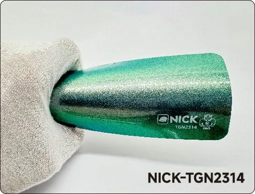 Промяна на цвета PPF Wrap